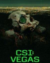 CSI: Место преступления Вегас (2021) смотреть онлайн